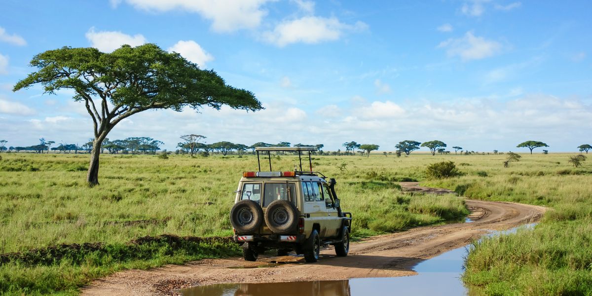Tanzania Wildlife Tour Package from Nepal